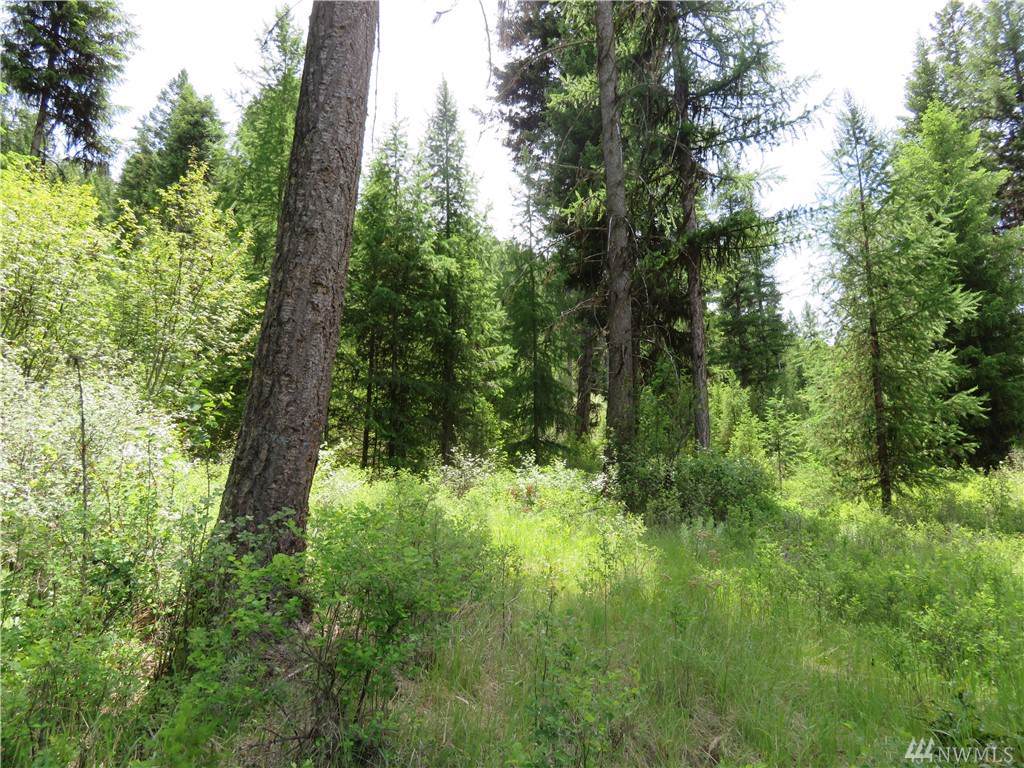 0-Lot 5 Boulder Creek Rd - Photo 1