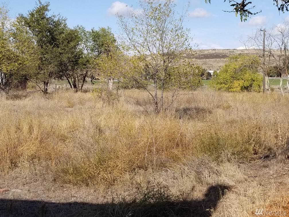 0 Lots 2 3 4 5 8 9 10 Ave - Photo 1