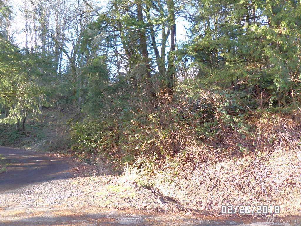 0-X Maplewood Dr - Photo 1