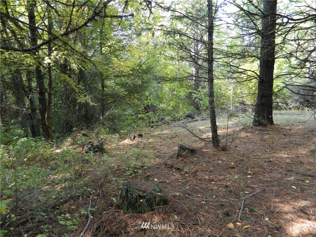 111 Tbd Bannon Crk Road - Photo 1
