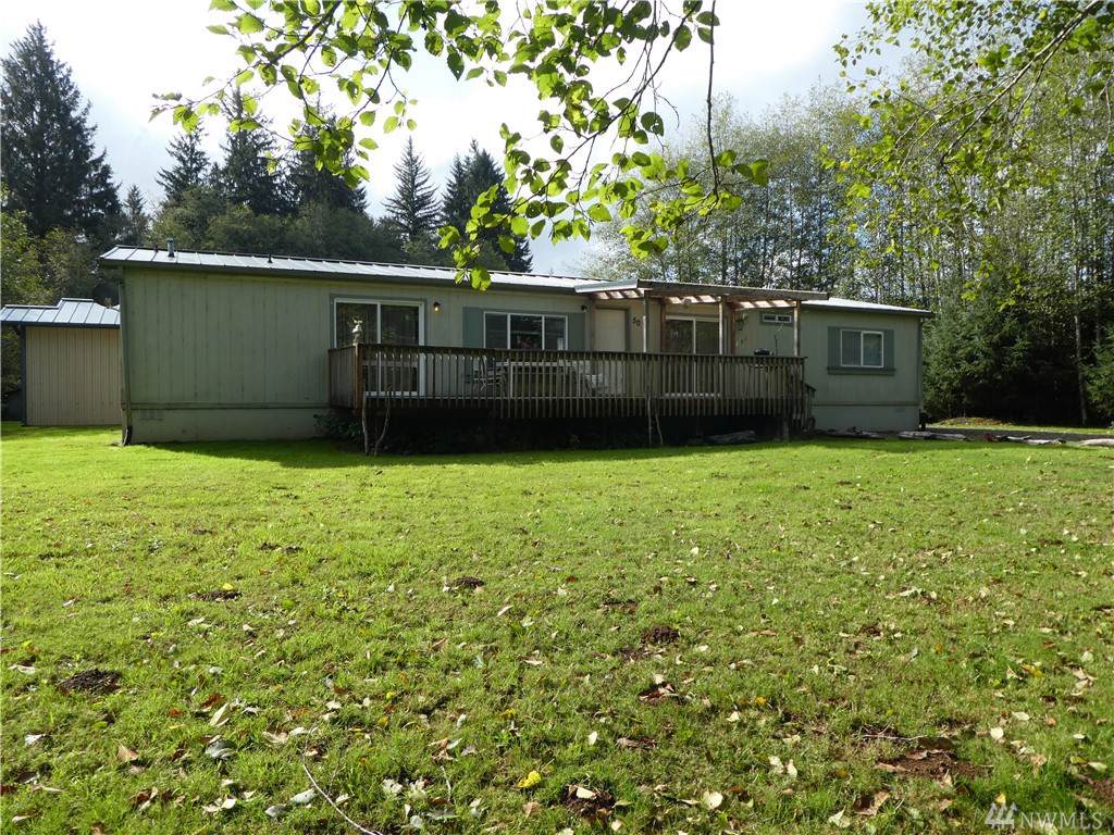 50 Coho - Photo 1