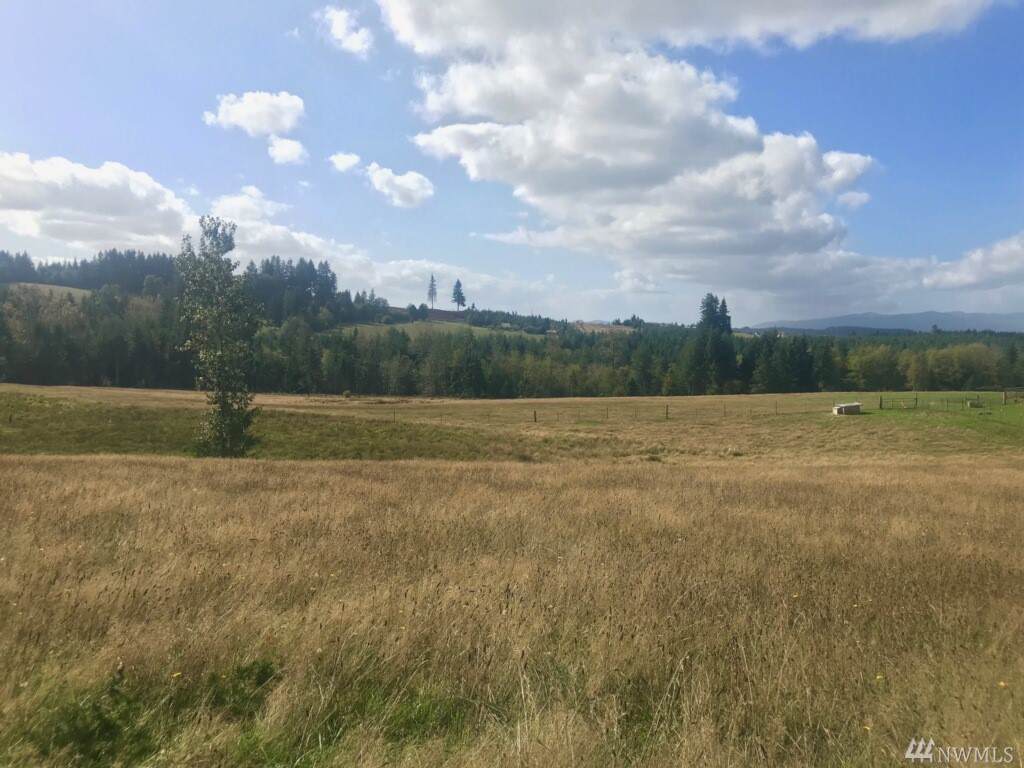 1-lot B Penning Rd - Photo 1
