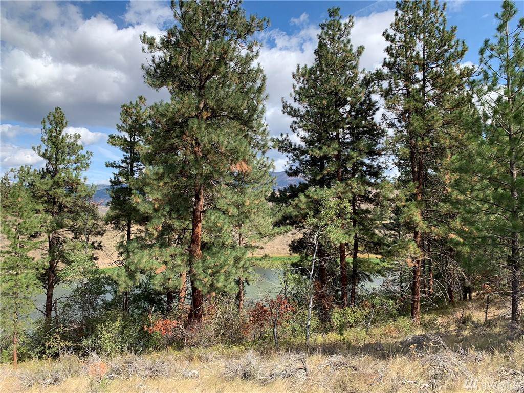 0-TBD Twin Lakes Rd - Photo 1