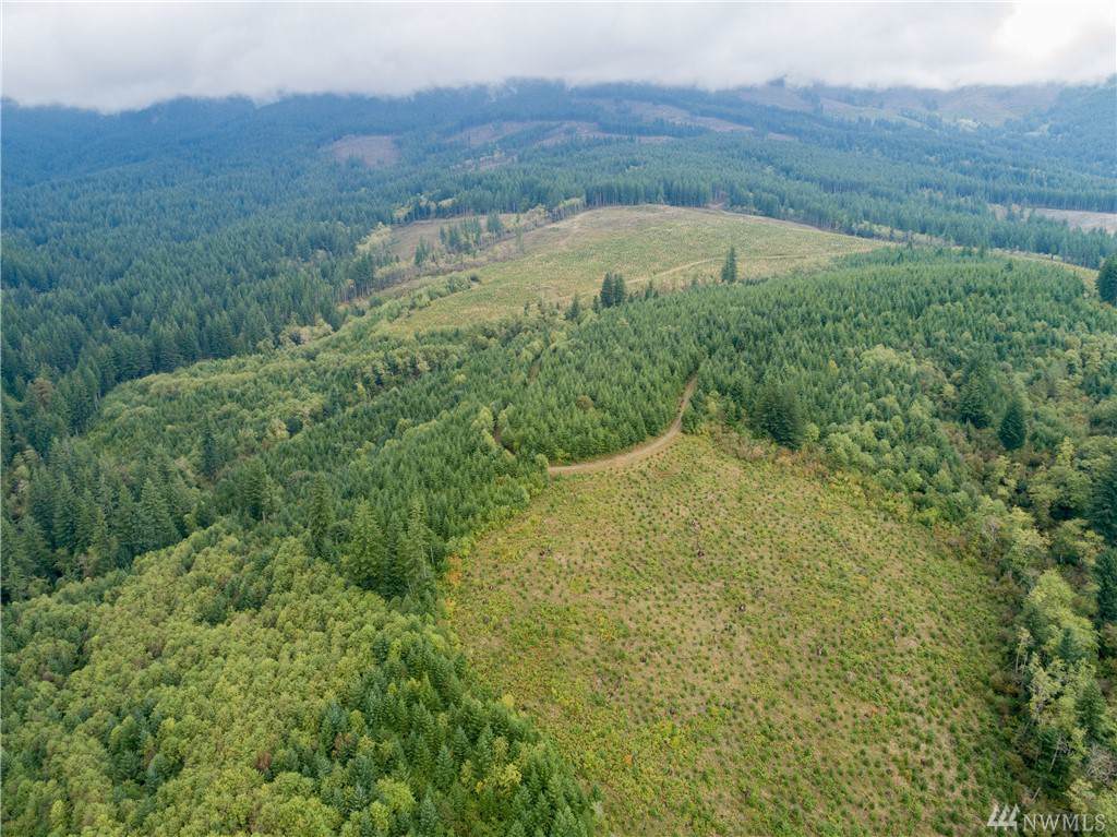 0-3 Boulder Creek Rd - Photo 1