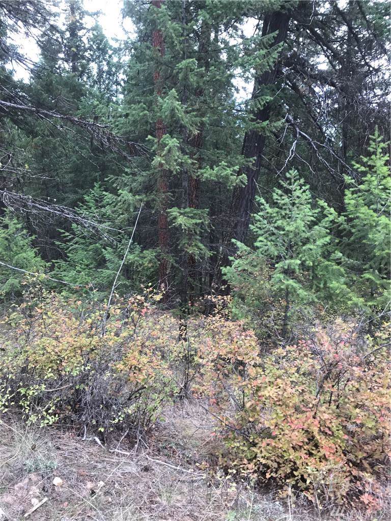 99999 Silver Creek Rd - Photo 1