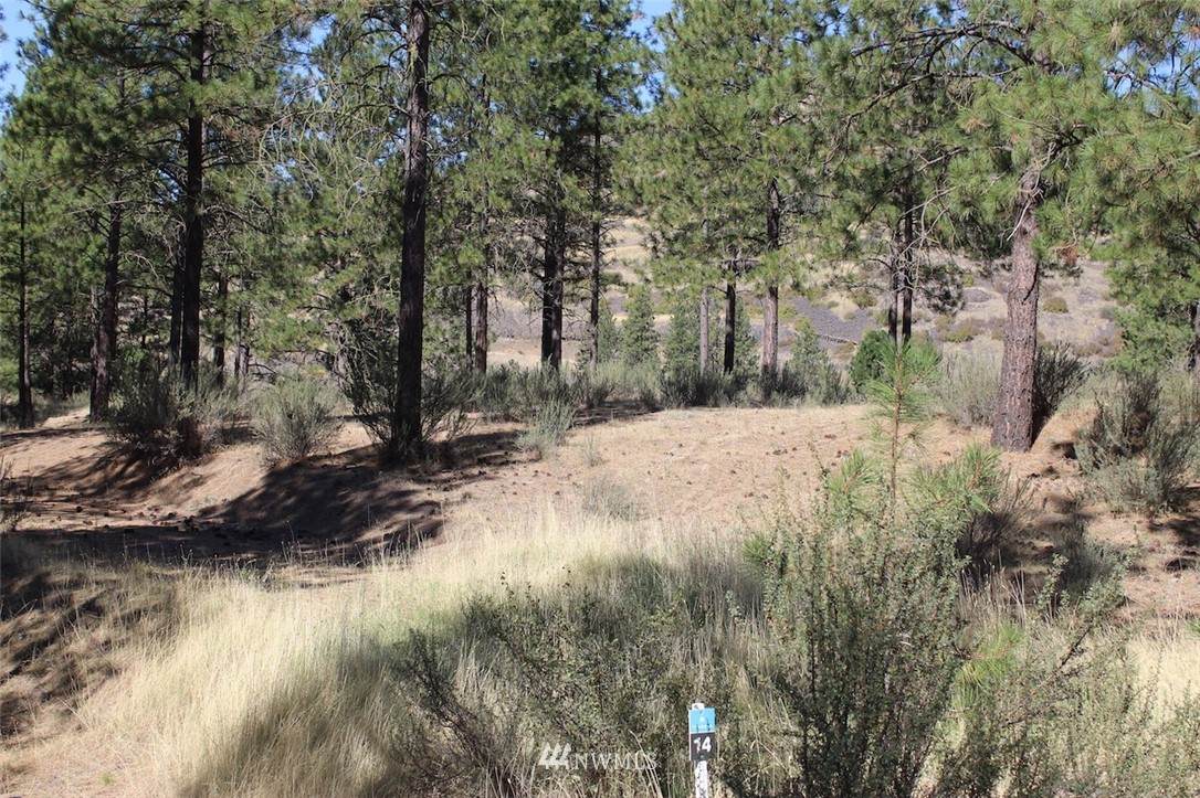 37825 Timber Lane - Photo 1