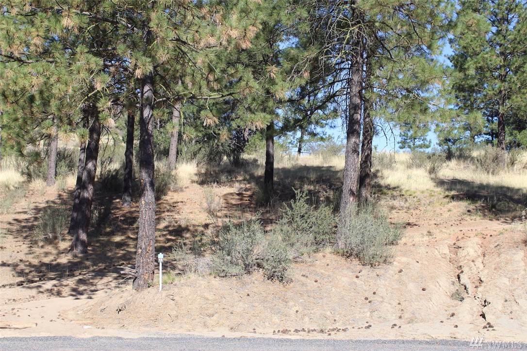 25655 Pine Cone Ct - Photo 1