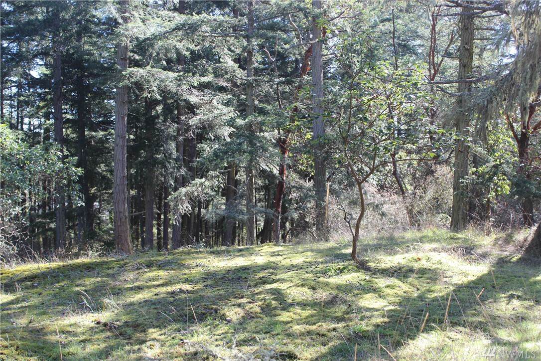 2832 Roche Harbor Rd - Photo 1