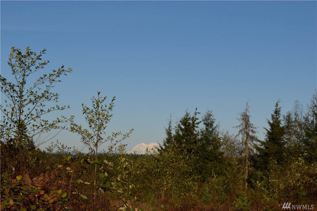 176--0 Roe Rd - Photo 1
