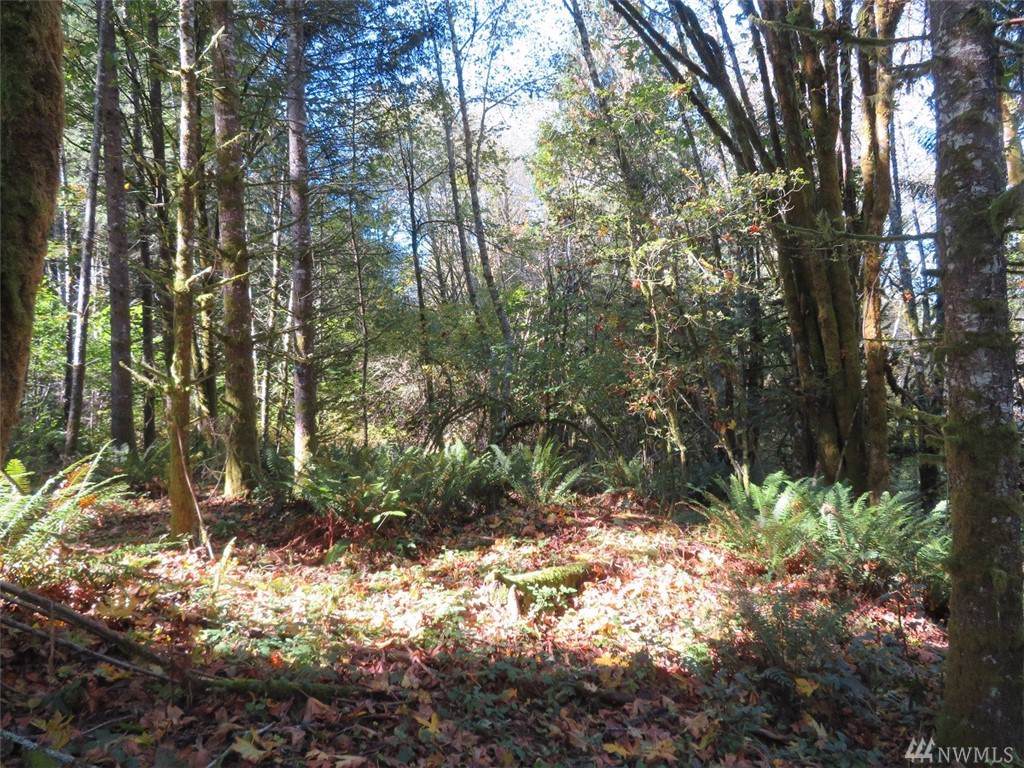 0-XXX Monroe Rd - Photo 1
