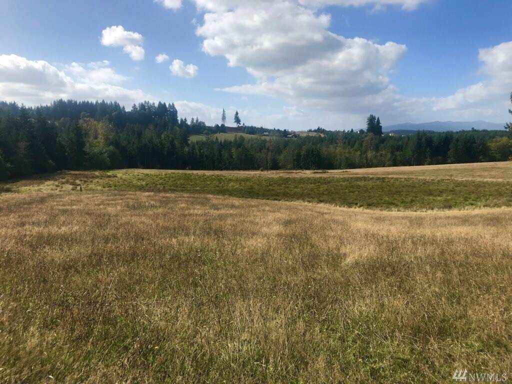 4-Lot Penning Rd - Photo 1