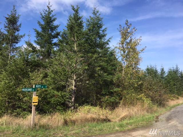 131 Kuty Dr - Photo 1
