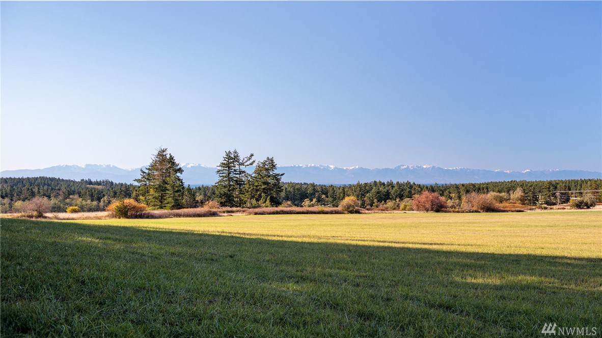 0 Center Rd - Photo 1