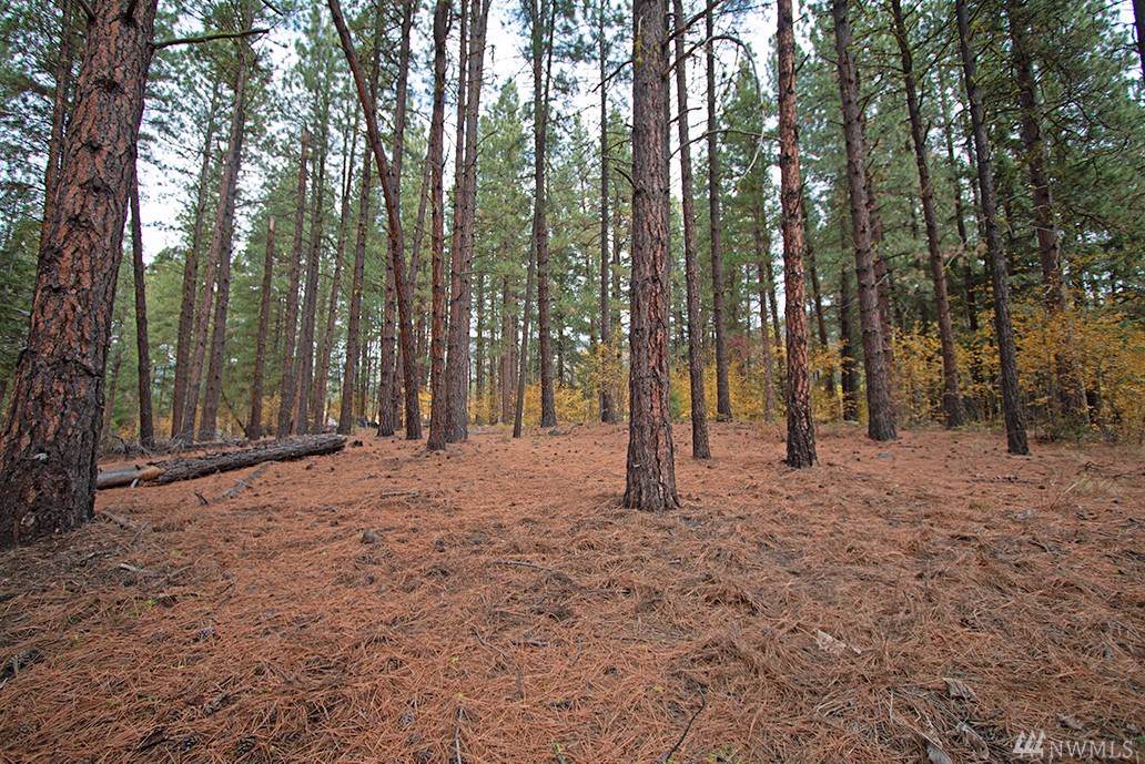0 Homestead Rd - Photo 1