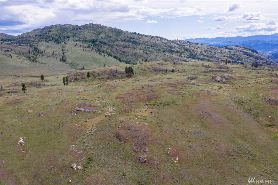 0 Mclaughlin Canyon Rd - Photo 1
