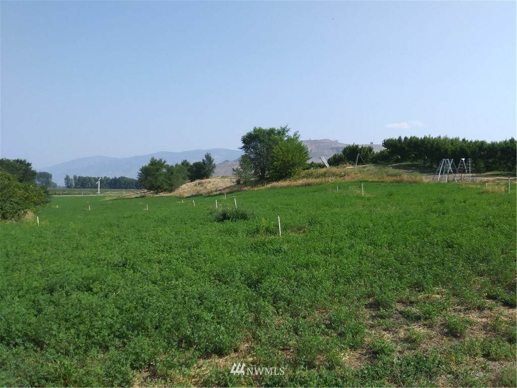 141 East Lake Rd - Photo 1