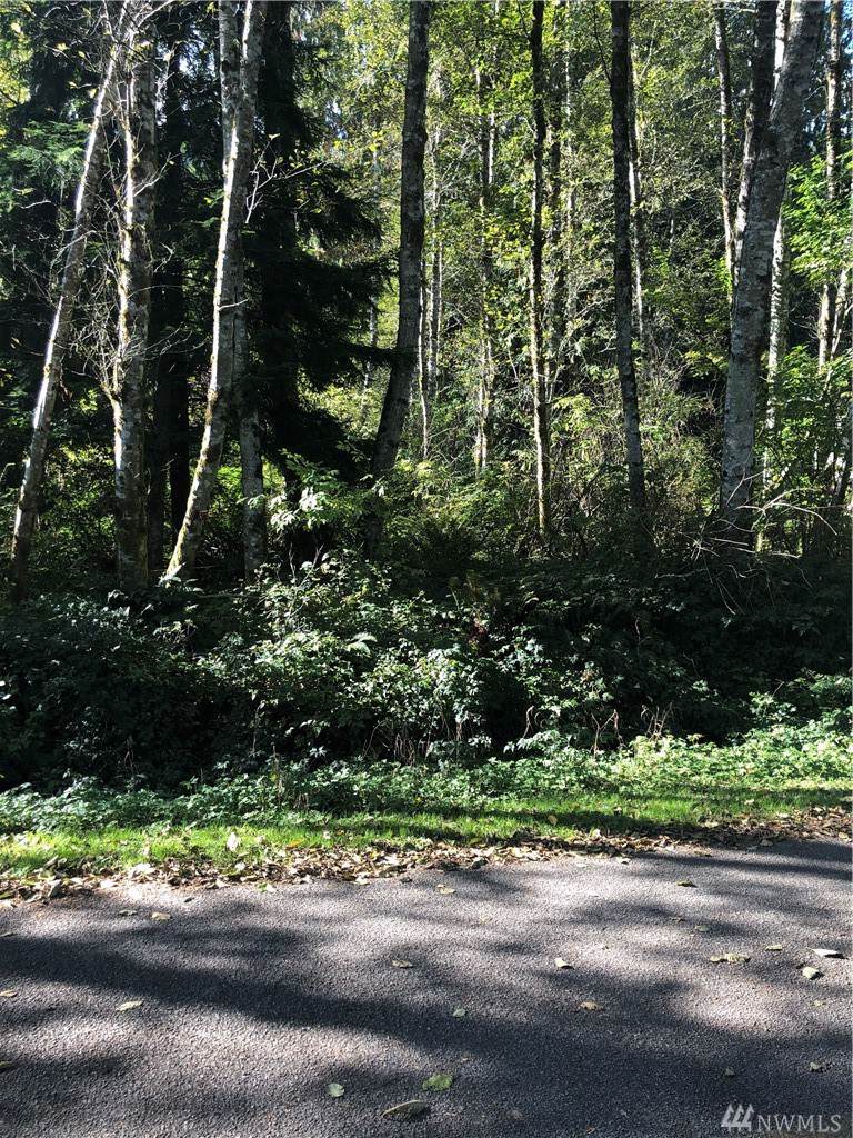 0 Alder Dr - Photo 1