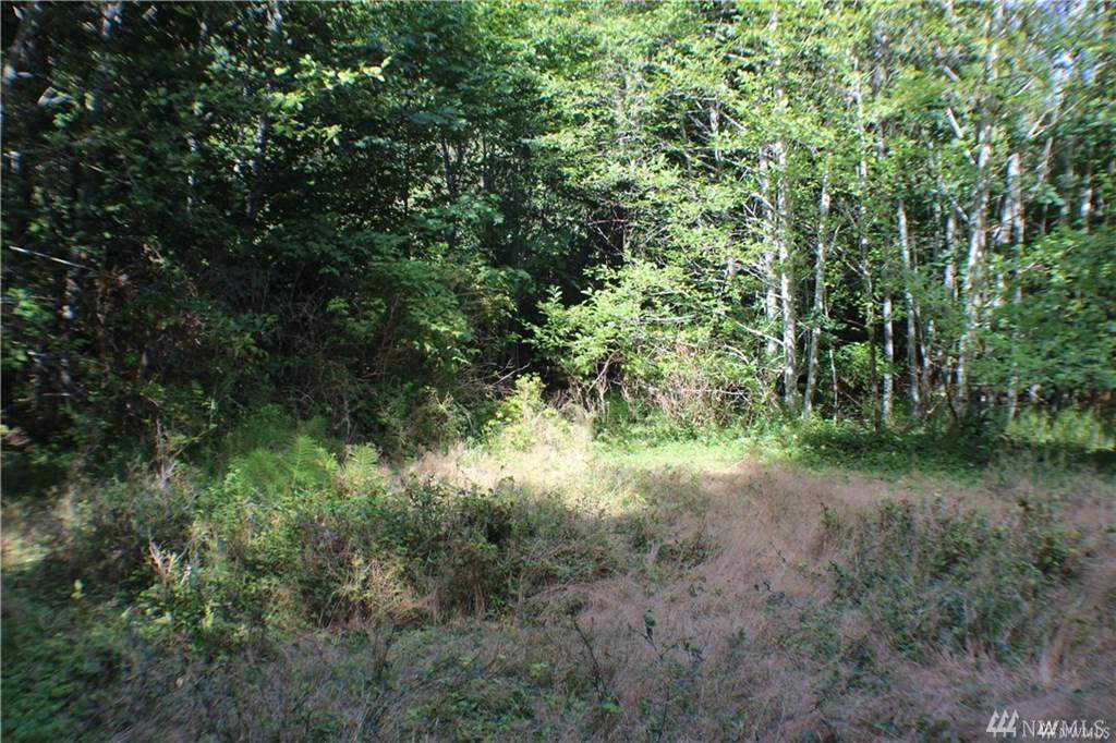 701 Duckabush Dr - Photo 1