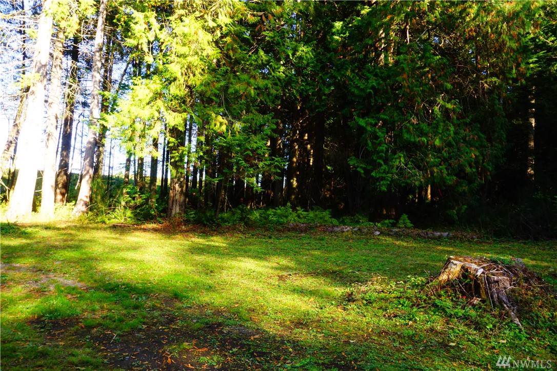 0 Port Gamble Rd - Photo 1