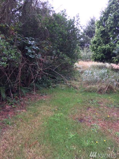 337 Canal Dr - Photo 1