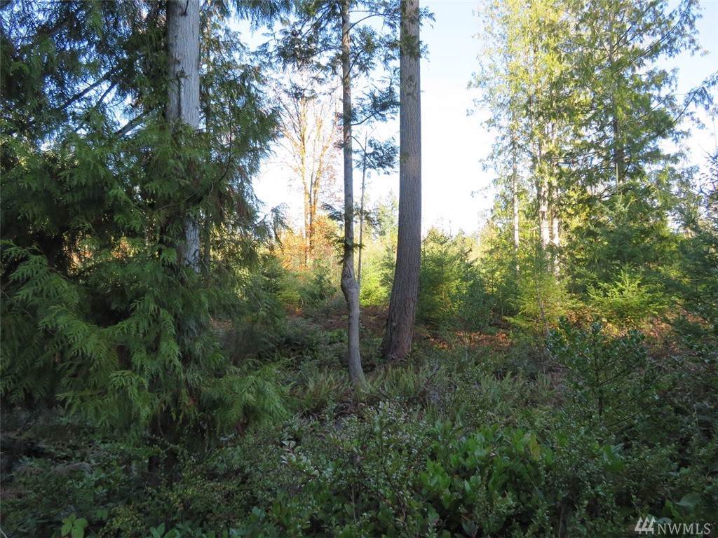 0-Lot 3 Yeshua Lane - Photo 1