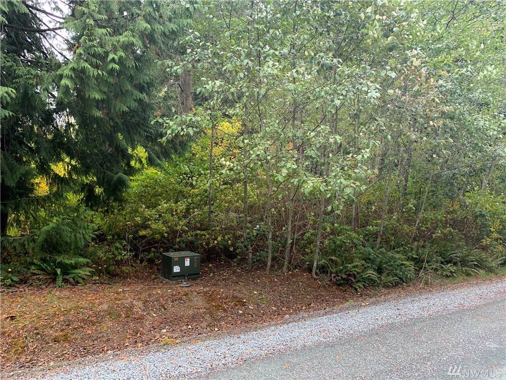 0-NHN Andal Lane - Photo 1