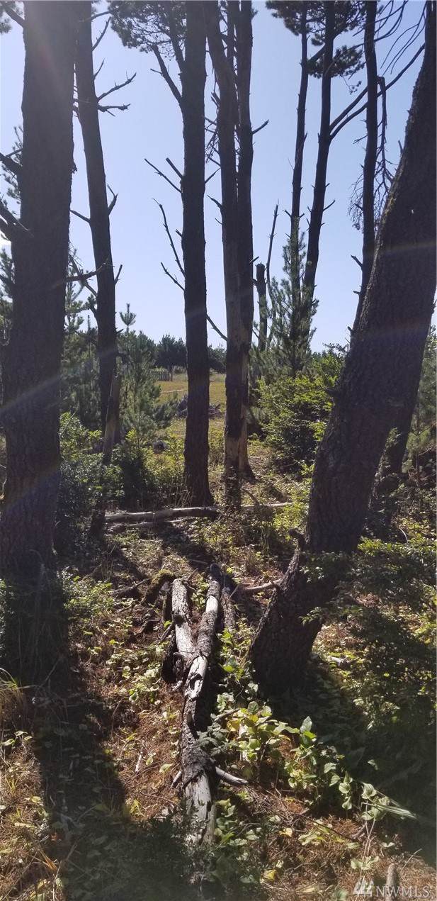 23005 Pacific Hwy - Photo 1
