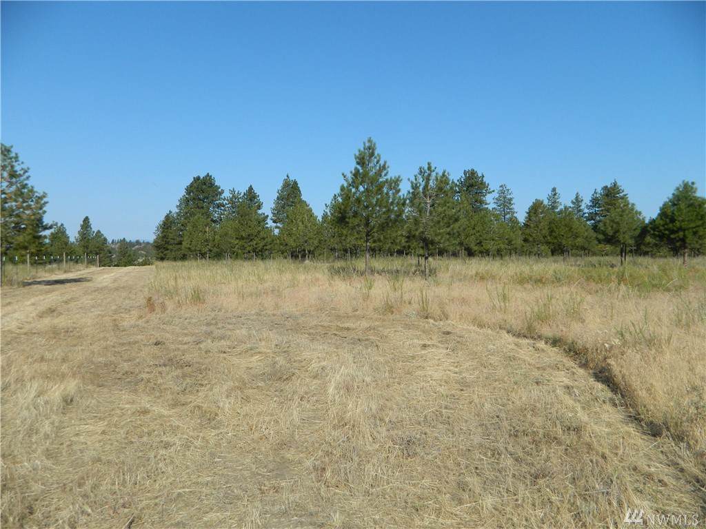 111 Tbd Fancher Dam Rd - Photo 1