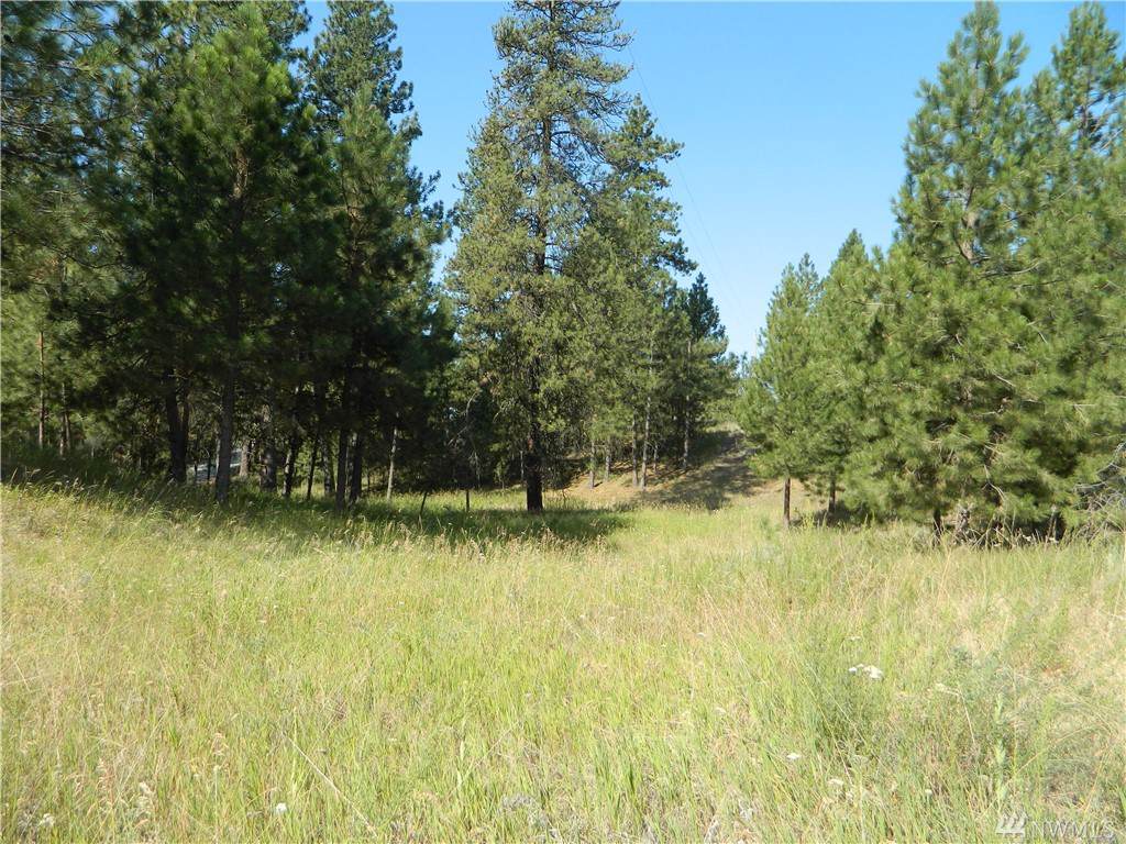 1111 Tbd Fancher Dam Rd - Photo 1