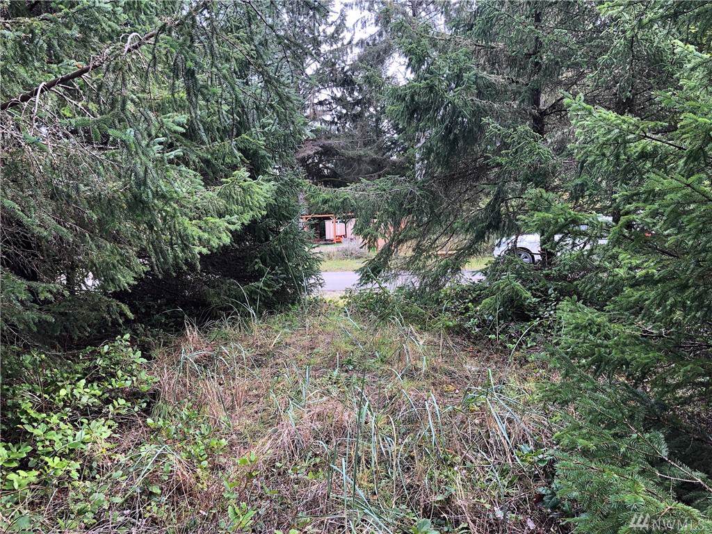 116 Skookumchuck St - Photo 1