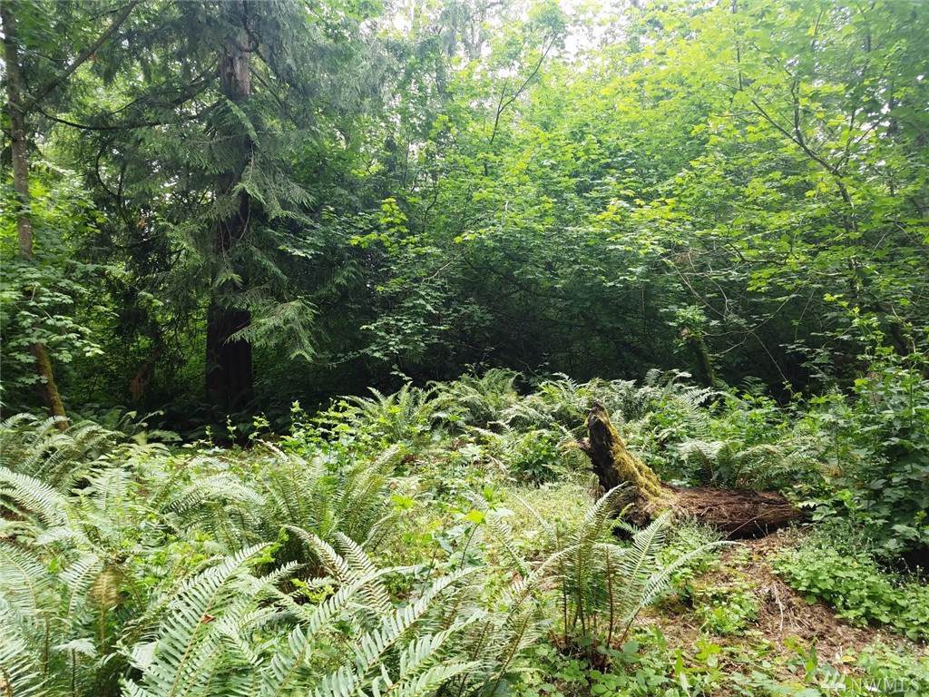 38311 Enumclaw Franklin Rd - Photo 1