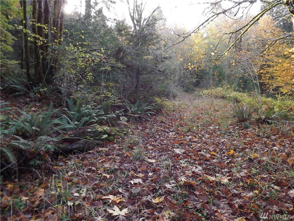 0 Summit Lake Shore Rd - Photo 1