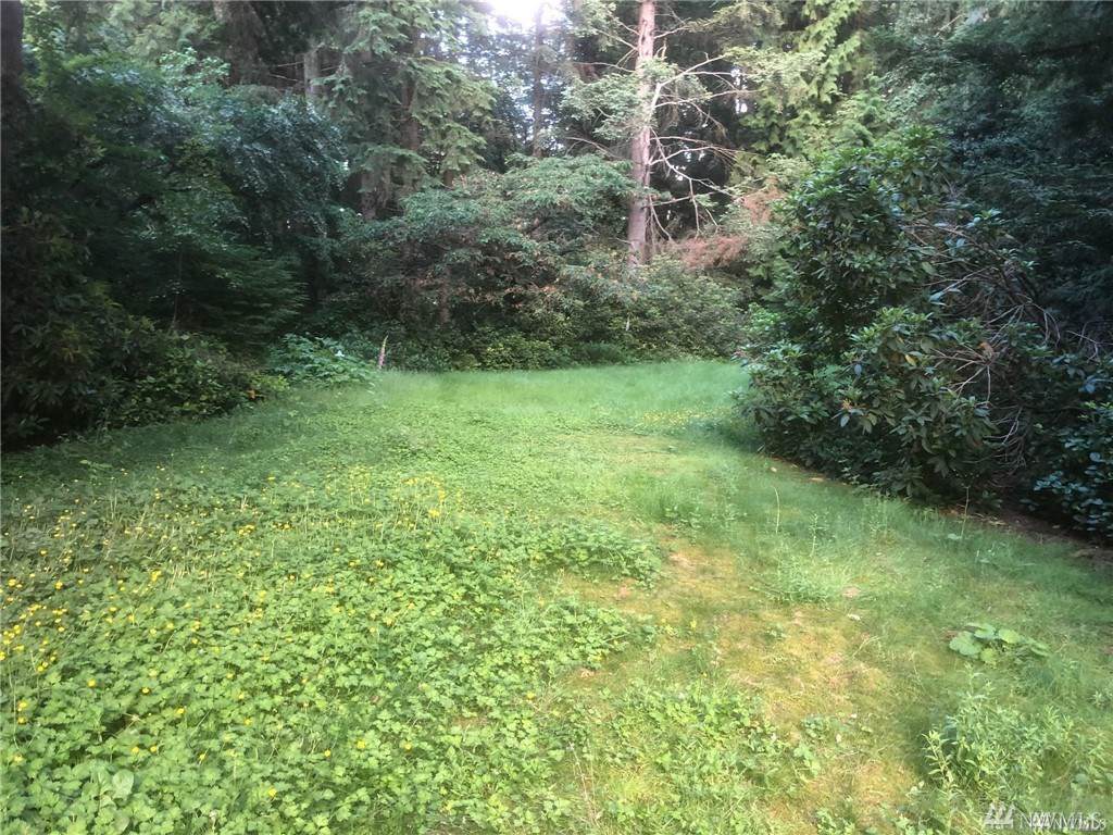 0 132nd Ave - Photo 1