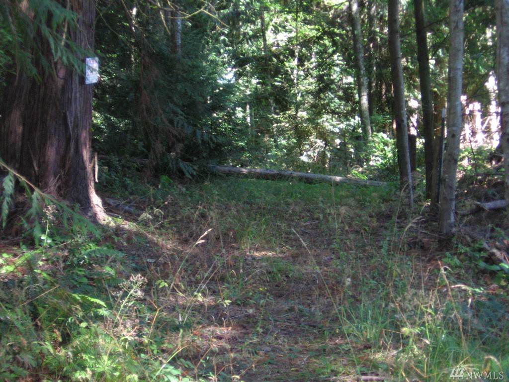 0 Highway 101 - Photo 1