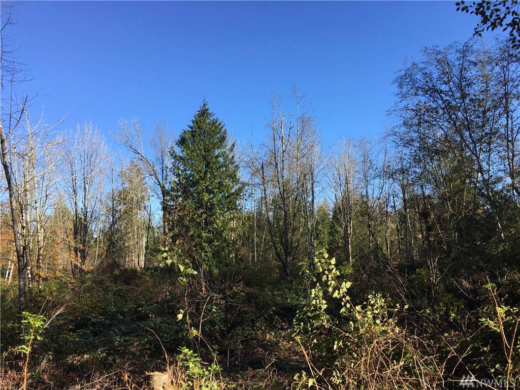 18-LOT 18 Country Woods Lane - Photo 1