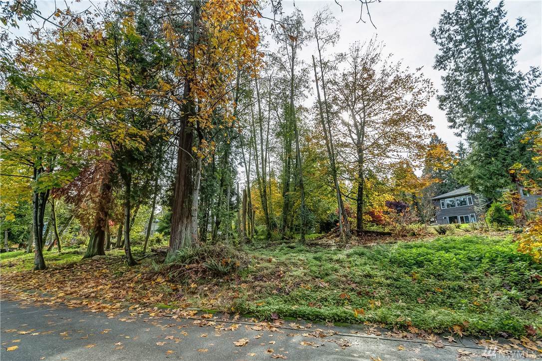 5381 Canvasback Rd - Photo 1