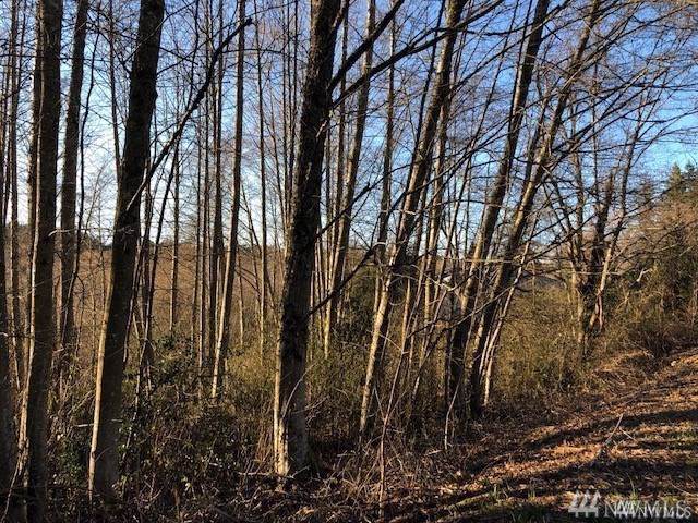 925-XX Schold Rd - Photo 1
