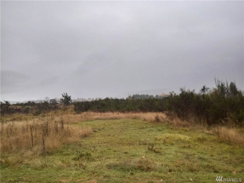 0-Lt B-8D Lone Tree Rd - Photo 1