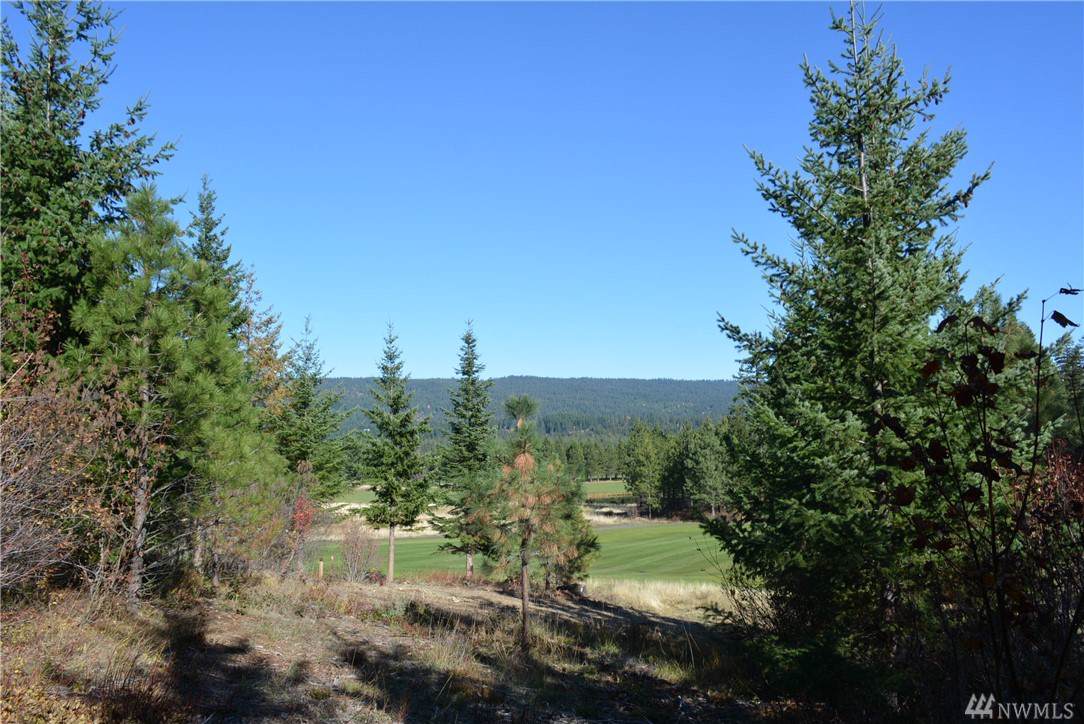 5 Tired Creek Lane - Photo 1 5 Tired Creek Lane - Photo 1