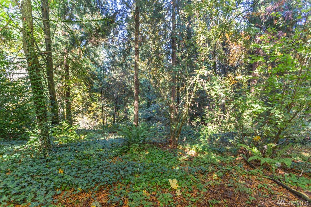 13319 108TH Ave - Photo 1