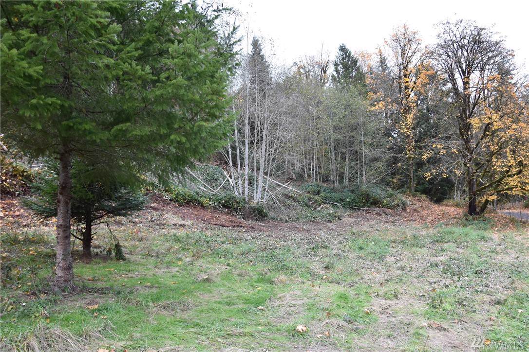 227 Stewart Creek Rd - Photo 1