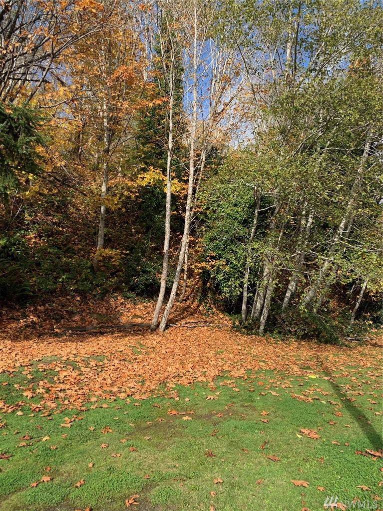 999 Bush Ave - Photo 1