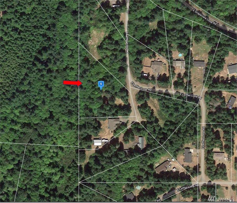 142 Leffler Loop Rd - Photo 1
