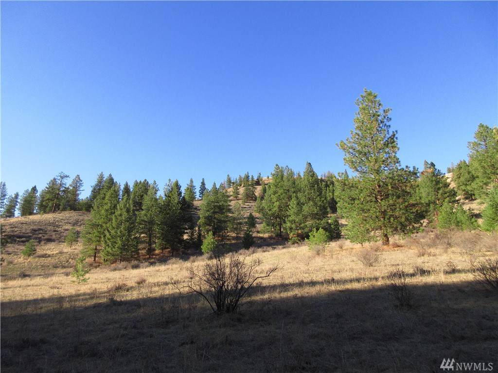 0-TBD Old Stage Coach Rd - Photo 1