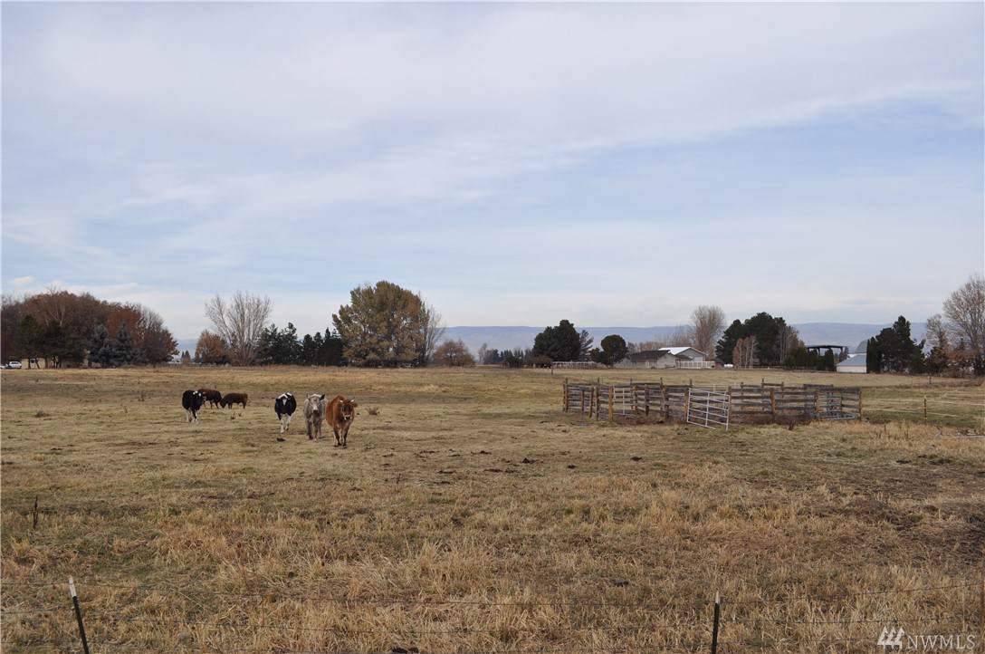 901 Manastash Rd - Photo 1