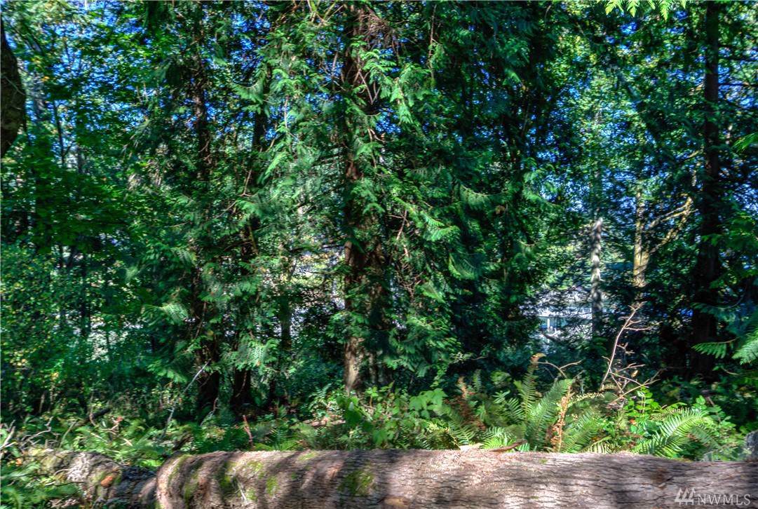 8141 Crescent Bay Dr - Photo 1