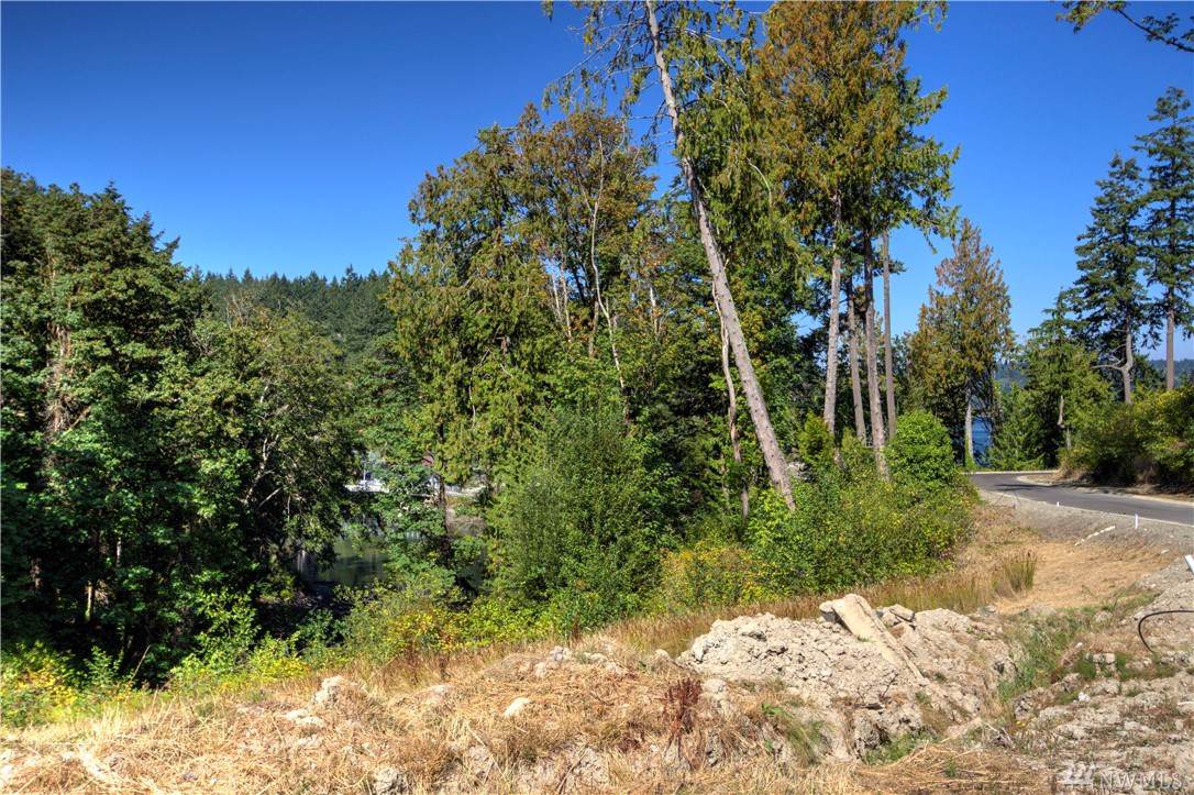 8201 Crescent Bay Dr - Photo 1