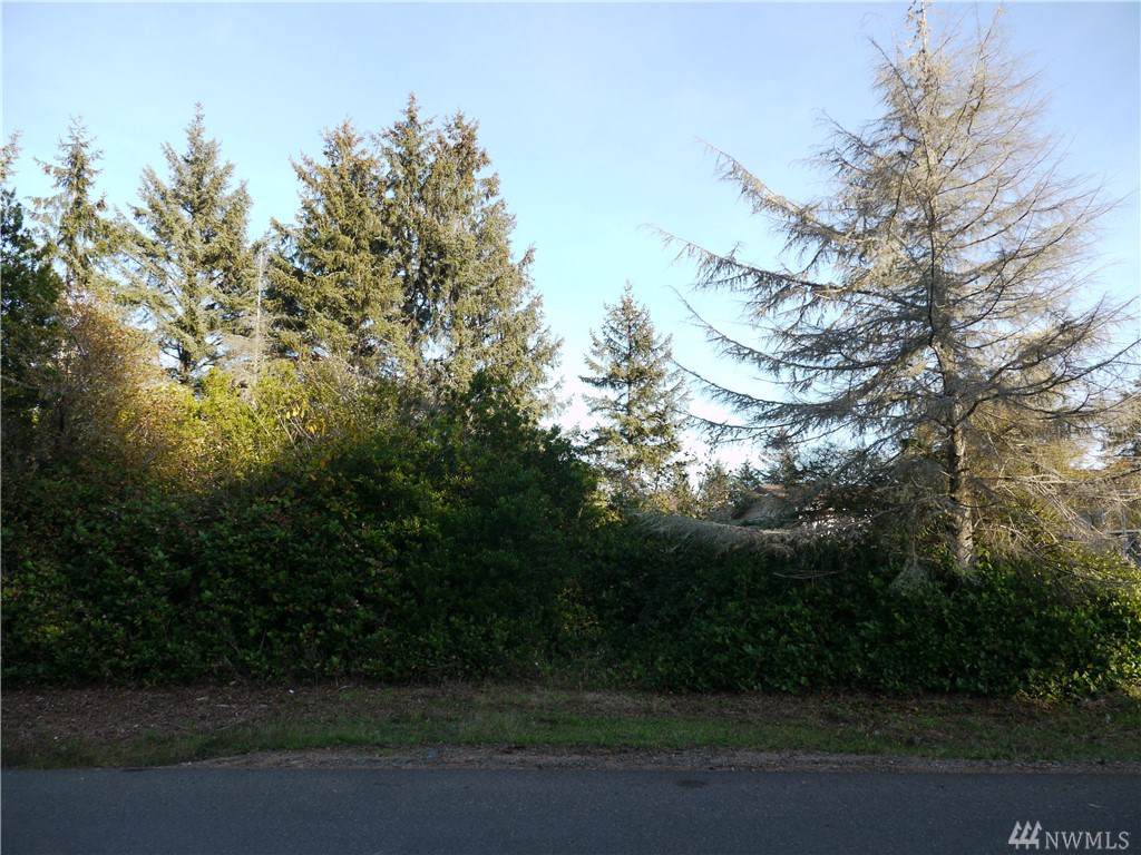 382 Dorado Ave - Photo 1