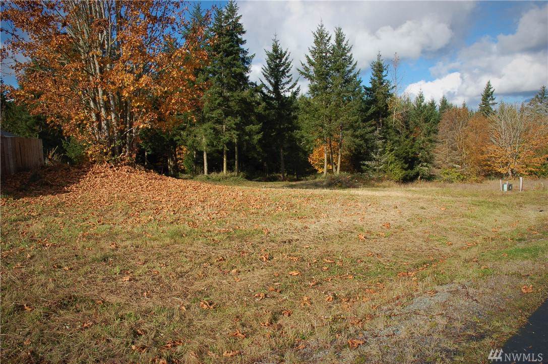 9999 Shauna Place - Photo 1