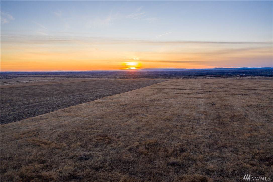 272 Tract Eagle Springs Ranch - Photo 1